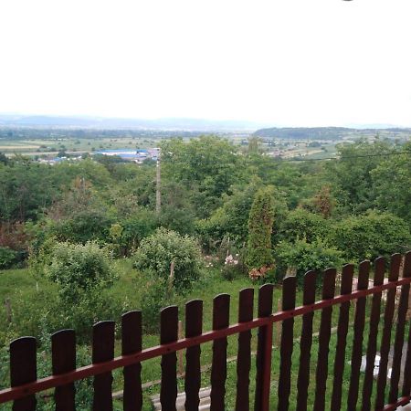 Villa Dedinje à Jagodina Extérieur photo