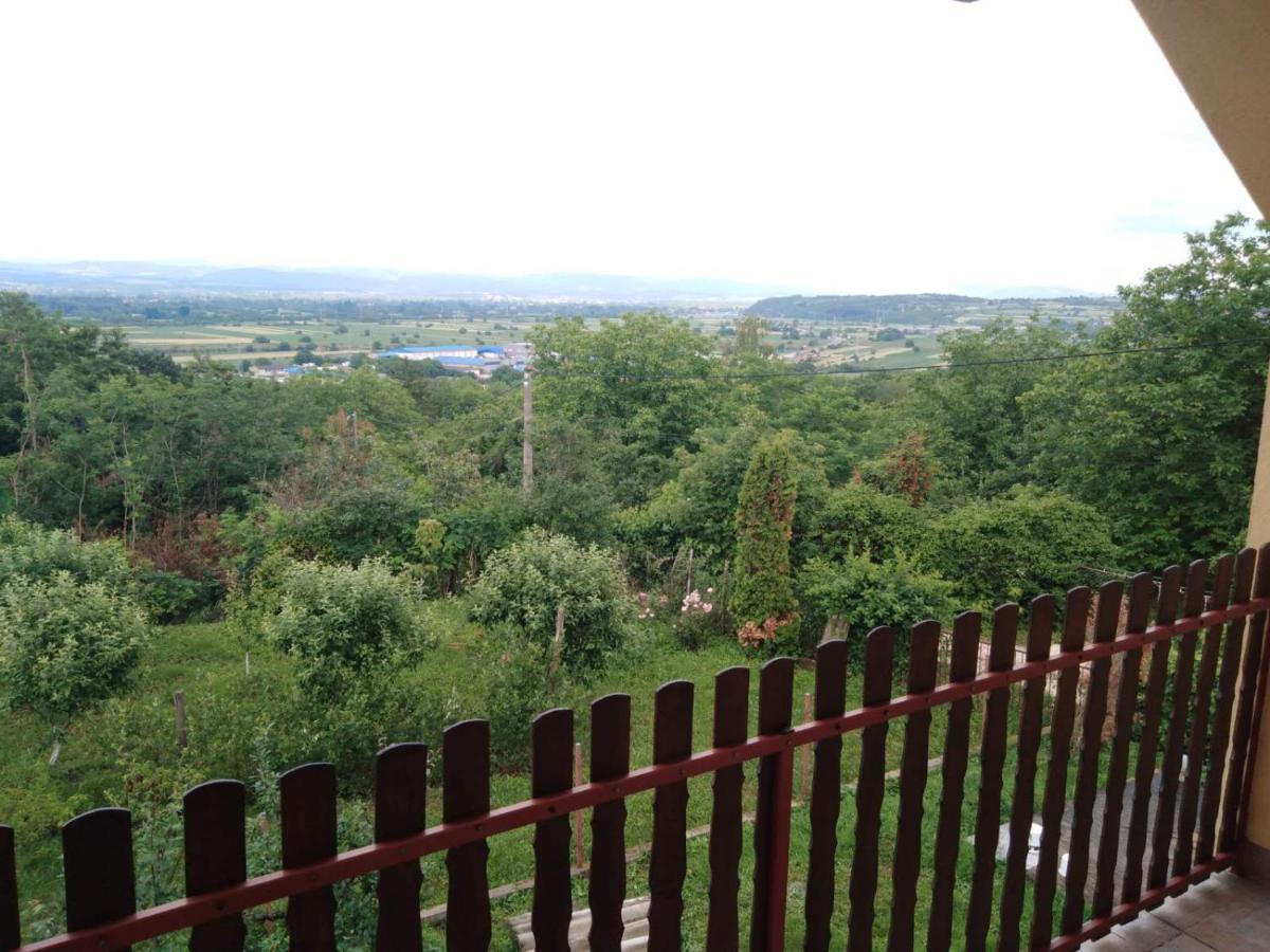 Villa Dedinje à Jagodina Extérieur photo